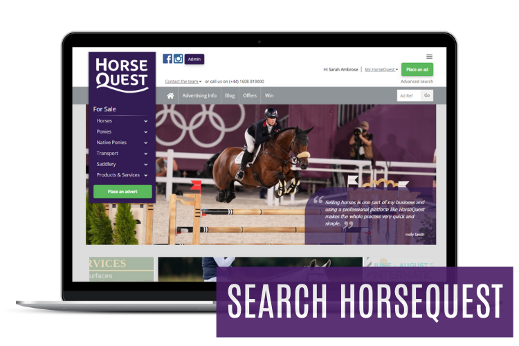 Search HorseQuest